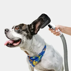 pet-claen-6